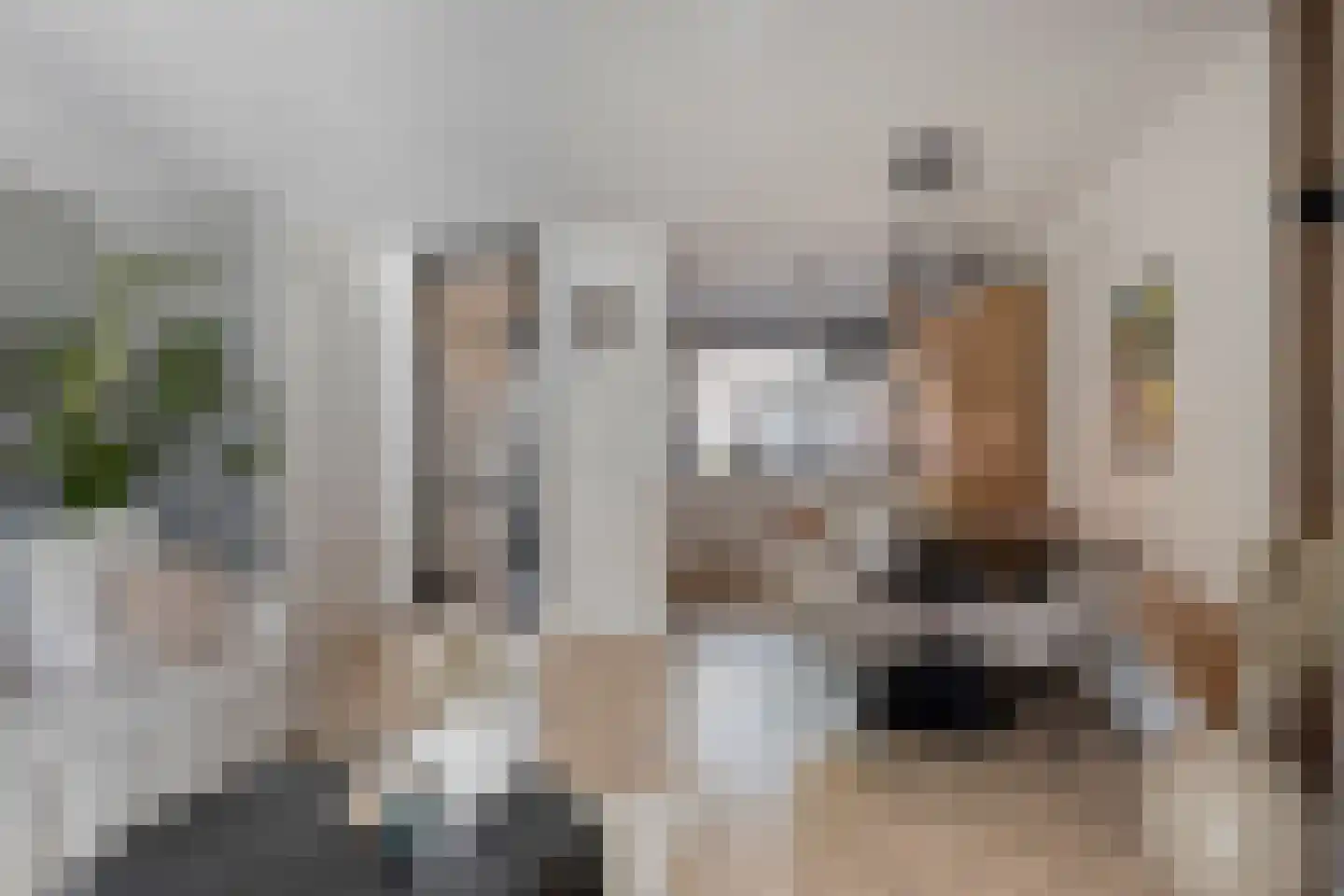Mandolinestraat 17 Spijkenisse thumbnail 12