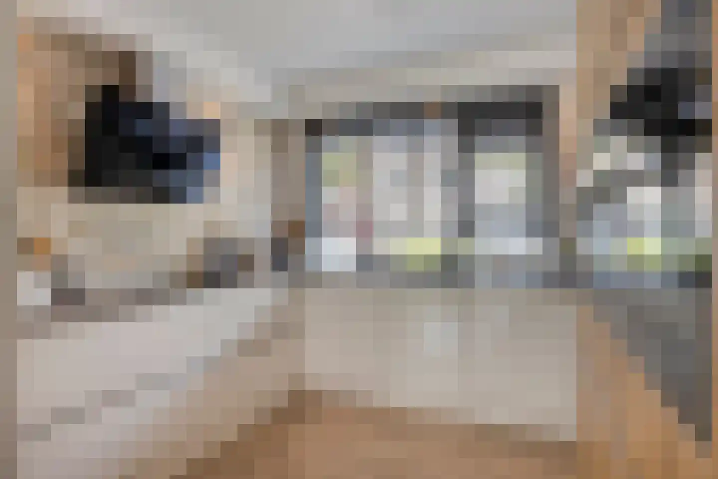 Mandolinestraat 17 Spijkenisse thumbnail 13