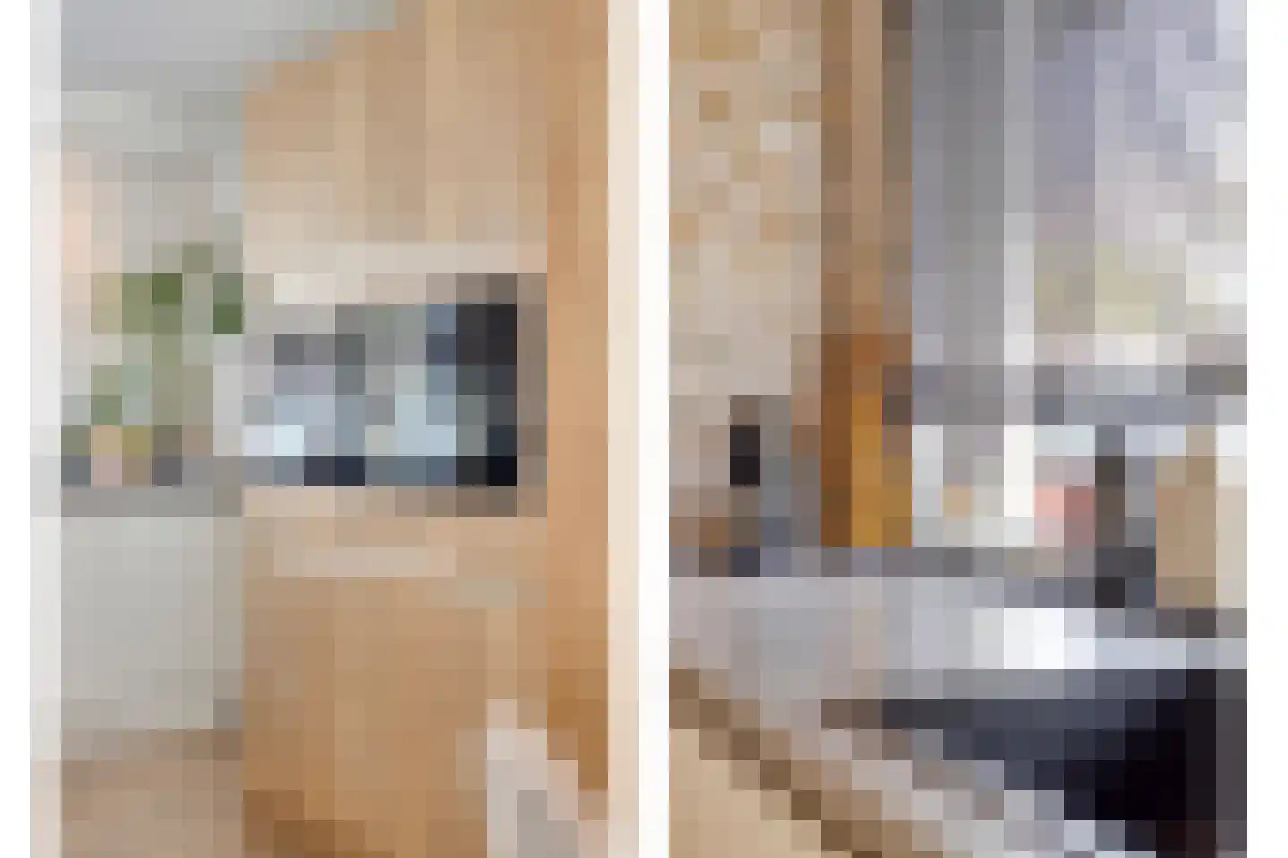 Mandolinestraat 17 Spijkenisse thumbnail 14
