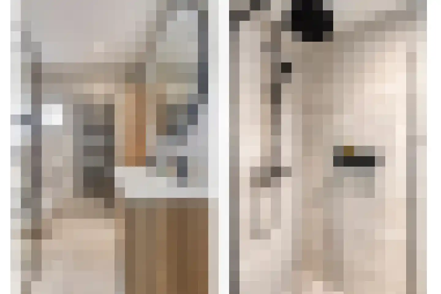 Mandolinestraat 17 Spijkenisse thumbnail 19
