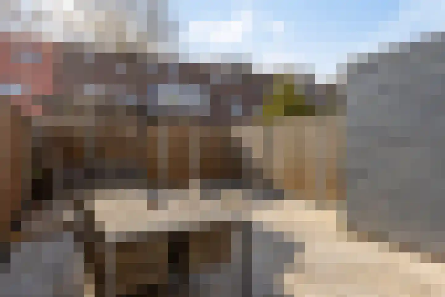 Mandolinestraat 17 Spijkenisse thumbnail 27