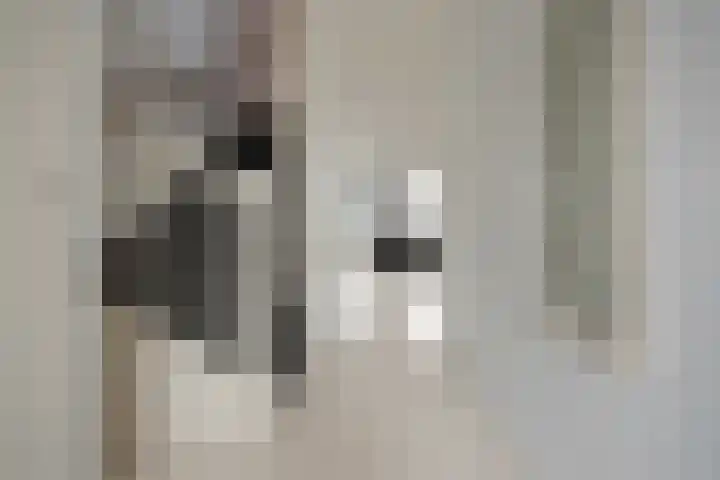 Mandolinestraat 20 Rijswijk thumbnail 10