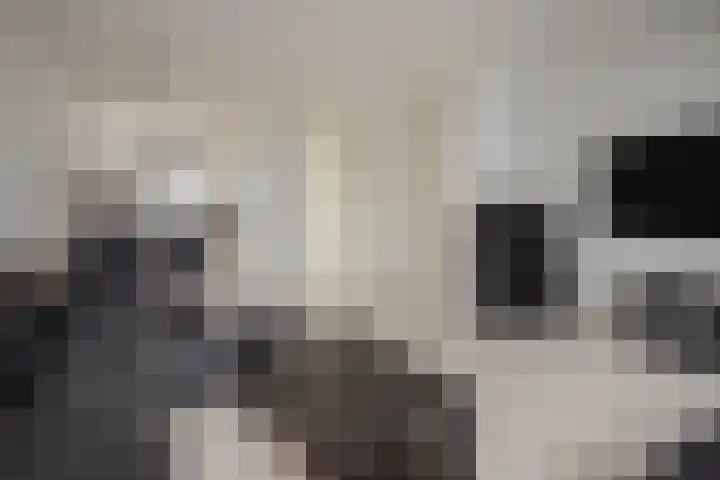 Mandolinestraat 20 Rijswijk thumbnail 6