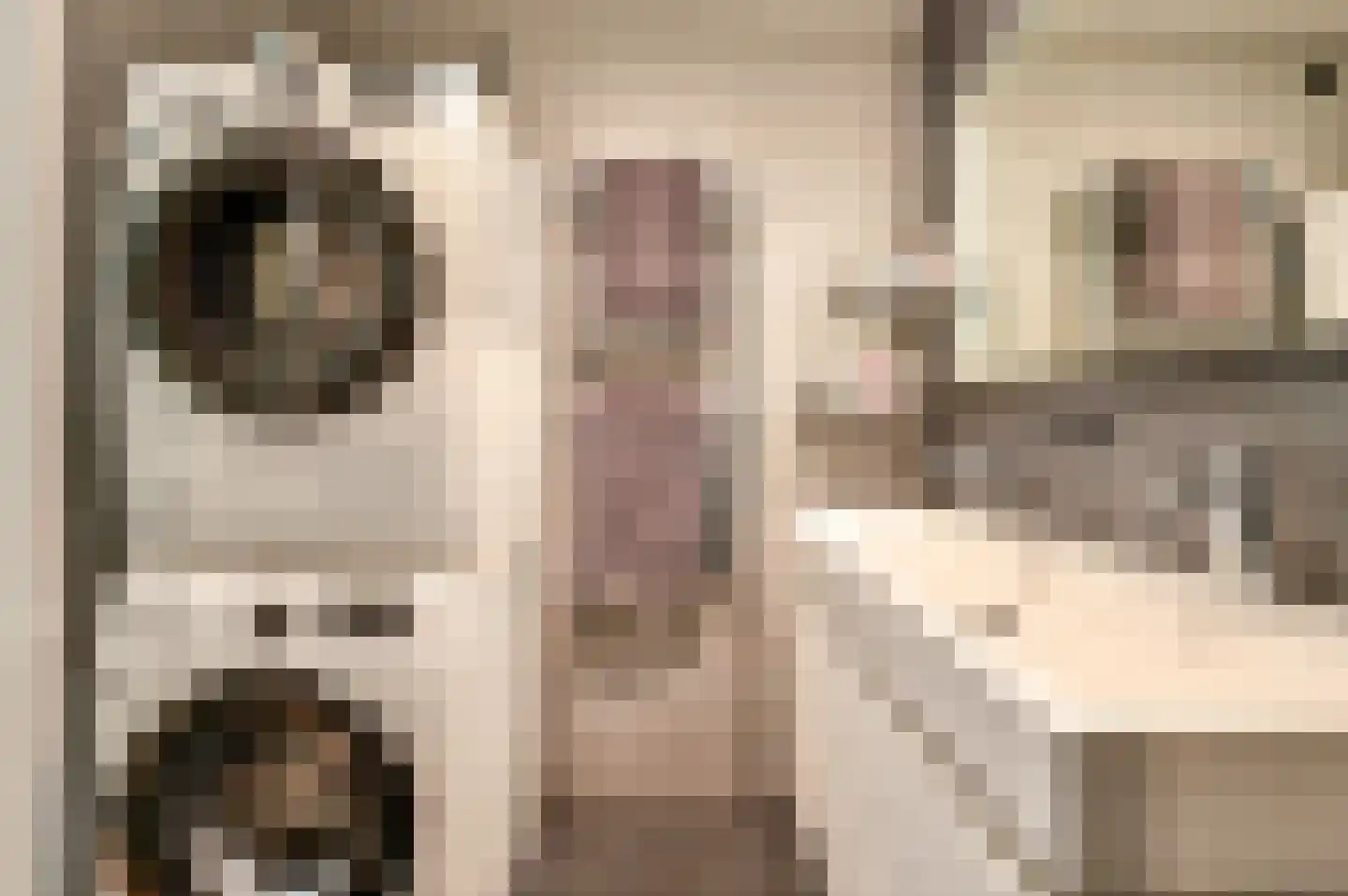 Mandolinestraat 61 Almere thumbnail 30