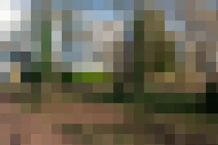 Mandolinestraat 73 Almere thumbnail 24
