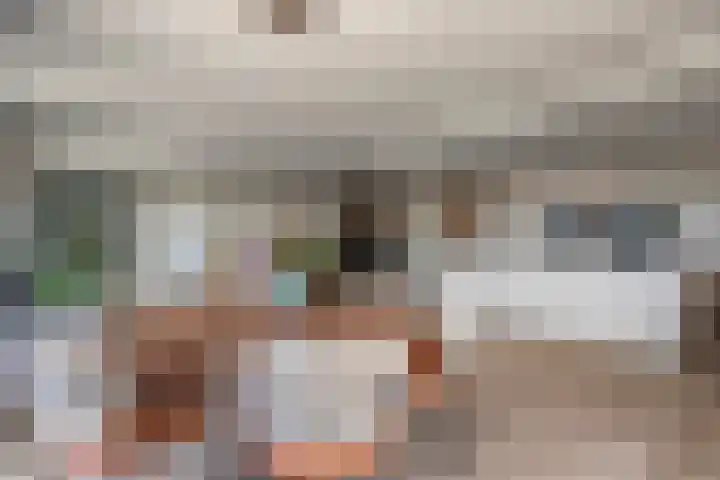 Manebiest 11 Boxmeer thumbnail 10