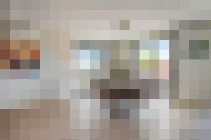Manebiest 11 Boxmeer thumbnail 11