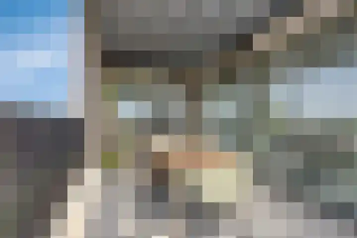 Manebiest 11 Boxmeer thumbnail 12