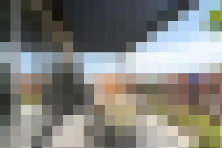 Manebiest 11 Boxmeer thumbnail 13