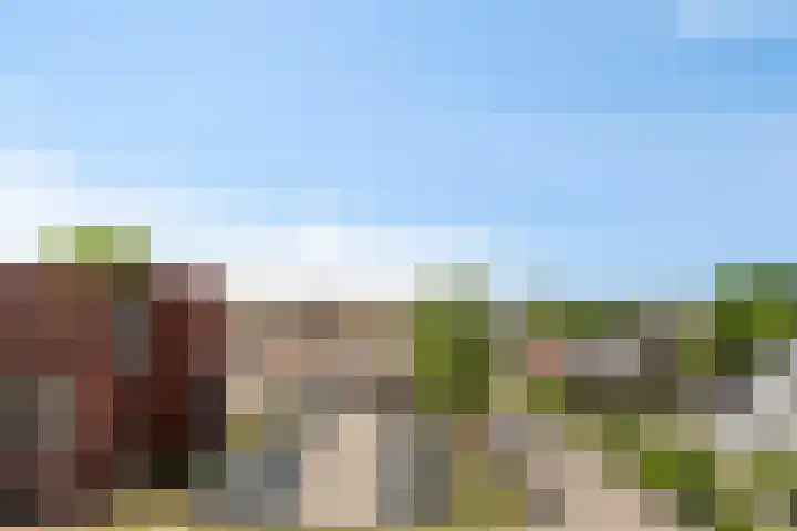 Manebiest 11 Boxmeer thumbnail 14