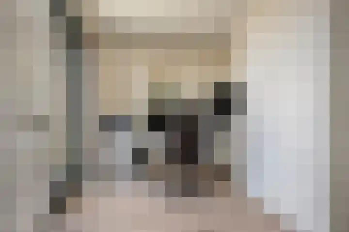 Manebiest 11 Boxmeer thumbnail 15