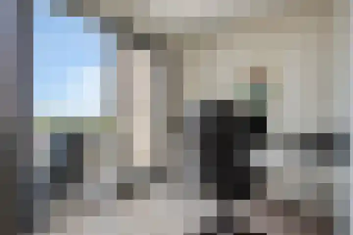 Manebiest 11 Boxmeer thumbnail 16