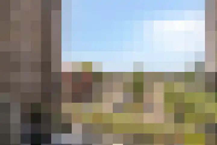 Manebiest 11 Boxmeer thumbnail 17