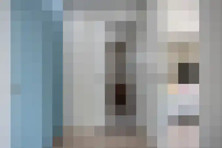 Manebiest 11 Boxmeer thumbnail 18