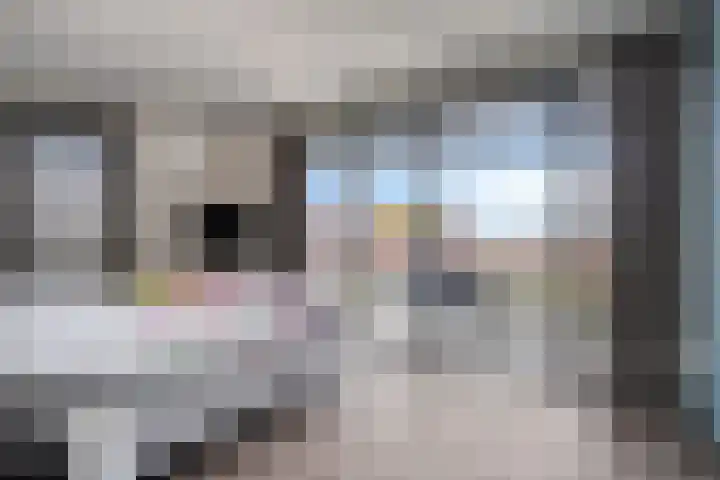 Manebiest 11 Boxmeer thumbnail 19