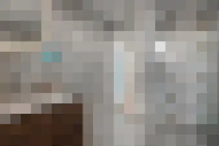 Manebiest 11 Boxmeer thumbnail 23