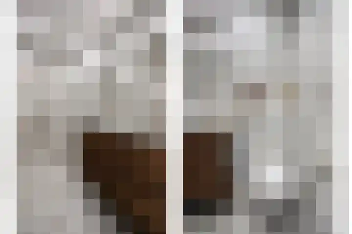 Manebiest 11 Boxmeer thumbnail 25