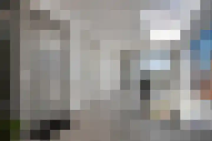 Manebiest 11 Boxmeer thumbnail 26