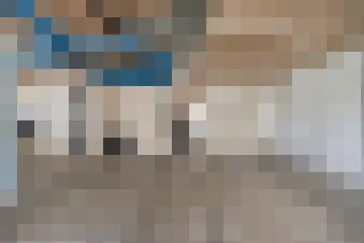 Manebiest 11 Boxmeer thumbnail 27