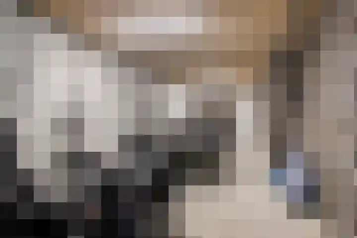 Manebiest 11 Boxmeer thumbnail 28