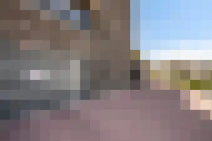 Manebiest 11 Boxmeer thumbnail 29