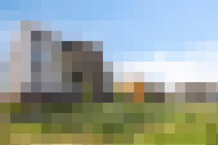 Manebiest 11 Boxmeer thumbnail 30