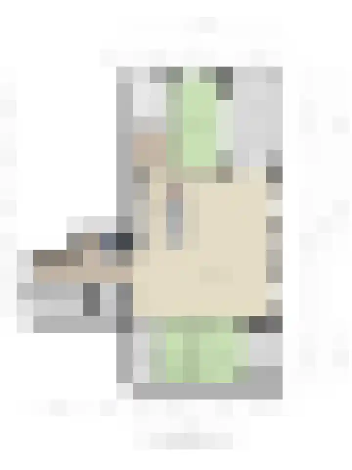 Manebiest 11 Boxmeer thumbnail 33