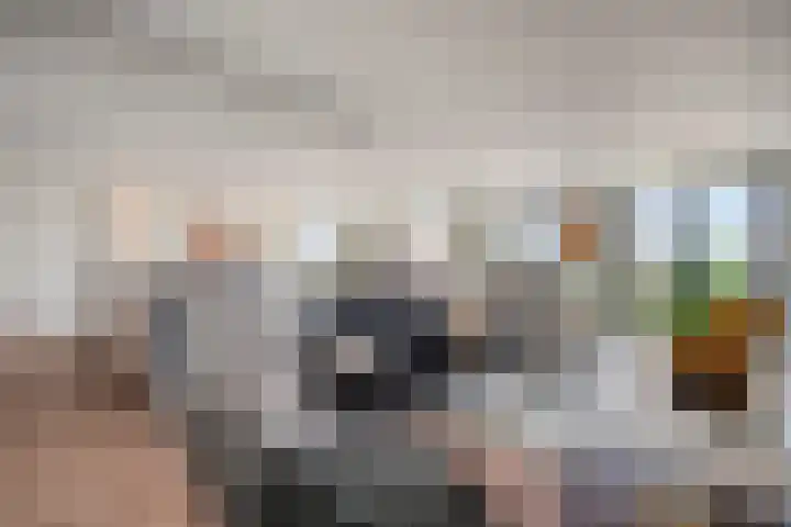 Manebiest 11 Boxmeer thumbnail 6