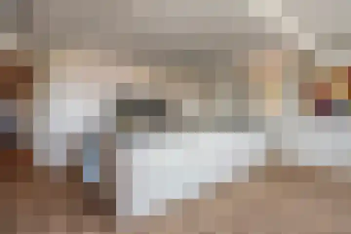 Manebiest 11 Boxmeer thumbnail 7