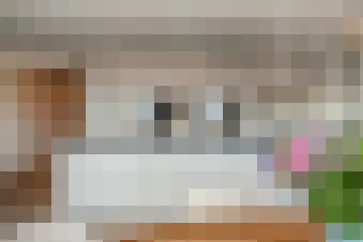 Manebiest 11 Boxmeer thumbnail 8