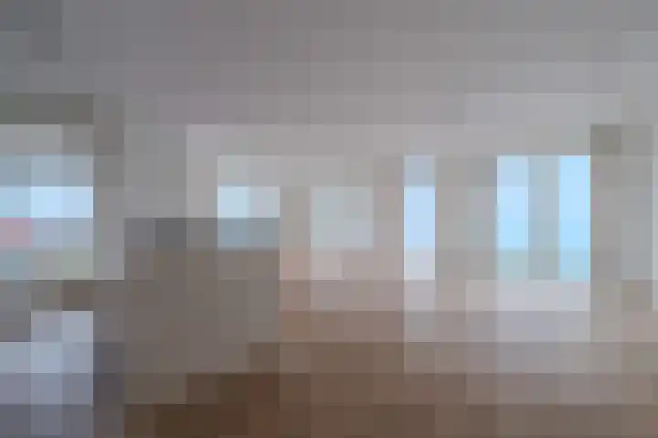 Manebiest 7 Boxmeer thumbnail 10