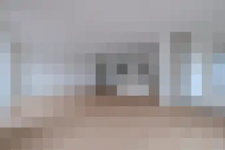 Manebiest 7 Boxmeer thumbnail 13