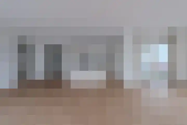 Manebiest 7 Boxmeer thumbnail 15