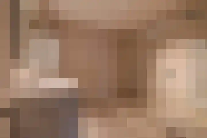 Manebiest 7 Boxmeer thumbnail 16