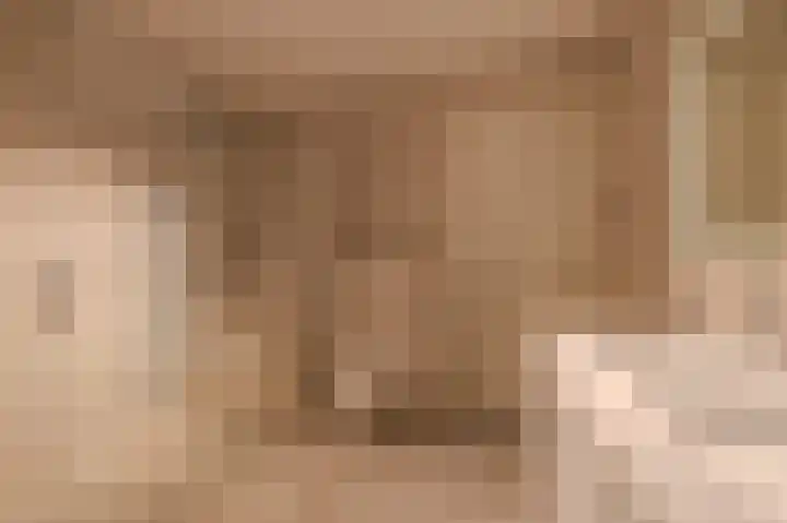 Manebiest 7 Boxmeer thumbnail 17