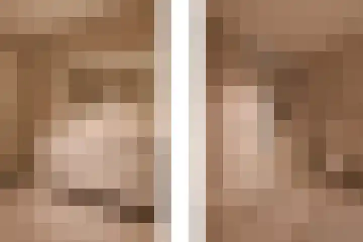 Manebiest 7 Boxmeer thumbnail 18