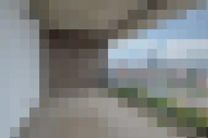 Manebiest 7 Boxmeer thumbnail 23