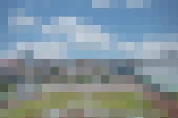 Manebiest 7 Boxmeer thumbnail 24