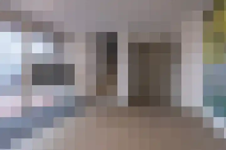 Manebiest 7 Boxmeer thumbnail 27