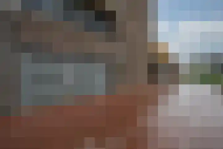 Manebiest 7 Boxmeer thumbnail 30