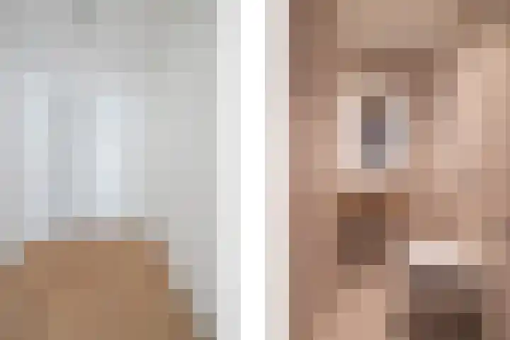 Manebiest 7 Boxmeer thumbnail 6