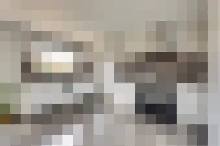 Manegelaan 14 Dronten thumbnail 17