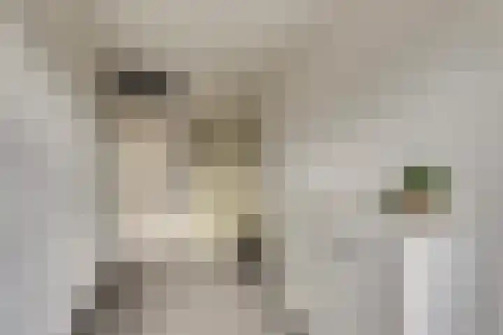 Manegelaan 14 Dronten thumbnail 27