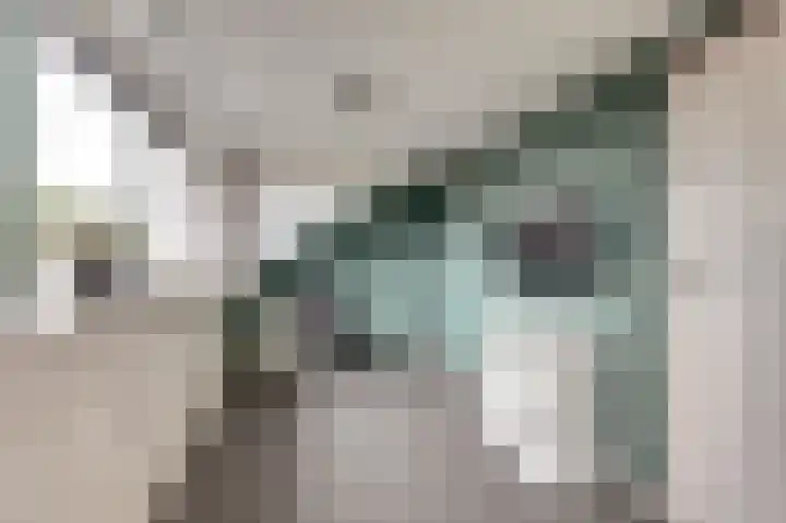 Manegelaan 14 Dronten thumbnail 34