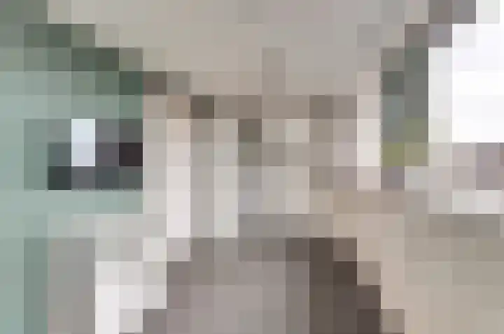 Manegelaan 14 Dronten thumbnail 35