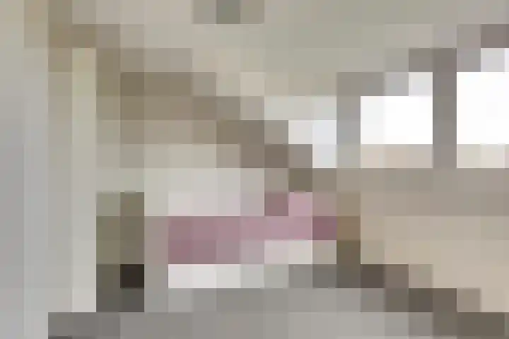 Manegelaan 14 Dronten thumbnail 36