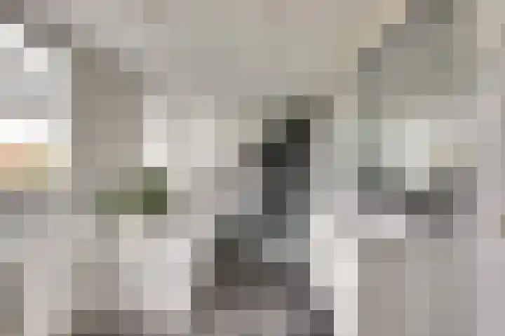 Manegelaan 14 Dronten thumbnail 4