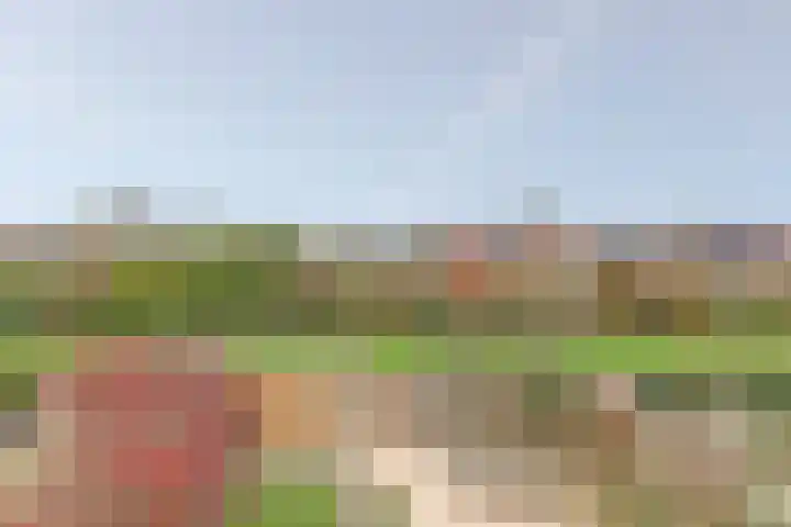 Manegelaan 14 Dronten thumbnail 48