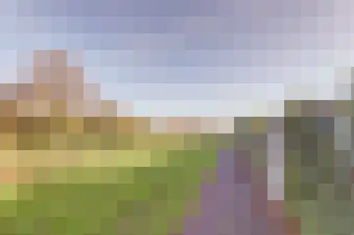 Manegelaan 14 Dronten thumbnail 49