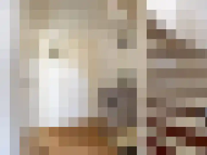 Manegelaan 15 Gorssel thumbnail 15